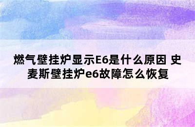 燃气壁挂炉显示E6是什么原因 史麦斯壁挂炉e6故障怎么恢复